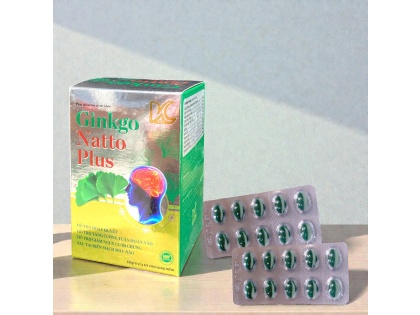 Ginkgo Natto Plus